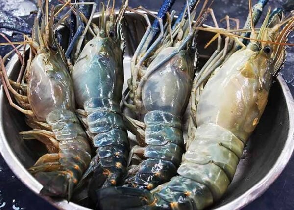 Prawns - Big (chemeen) - Image 2