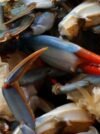 Crab - Big - Image 4