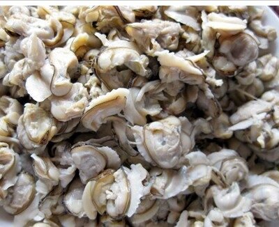 clams meat (Kakka Irachi)