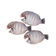 Pearl Spot Fish (Karimeen)