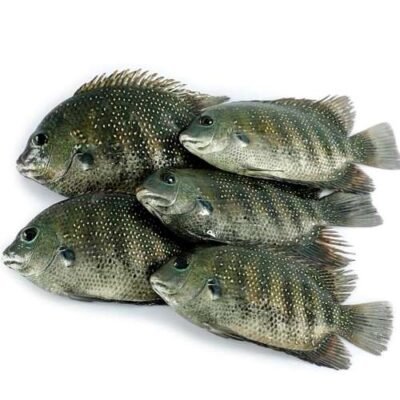 Pearl Spot Fish (Karimeen)