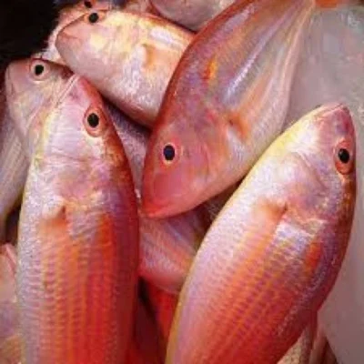 Sulthan (Kilimeen)