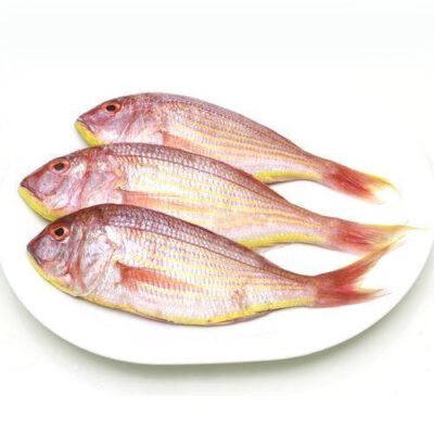 Sulthan (Kilimeen)