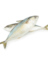 Mackerel (Aila) - Image 2
