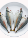 Mackerel (Aila) - Image 3