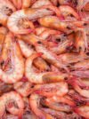 Prawns- Small (chemeeen)