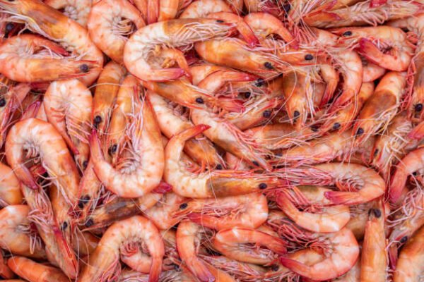 Prawns- Small (chemeeen)