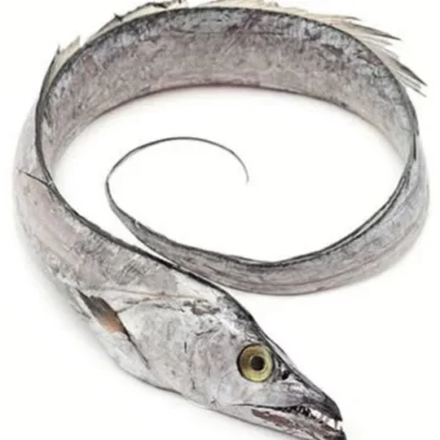 Ribbon Fish (Pambda)