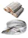 Ribbon Fish (Pambda) - Image 3