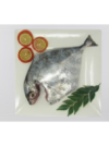 Trevally Fish (Vatta) - Image 2