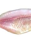 Safi - Image 4