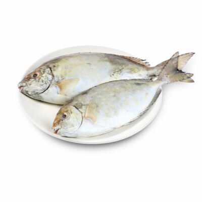Safi