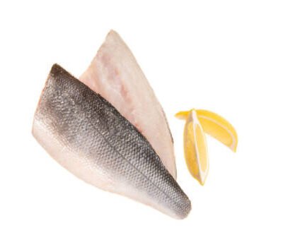 Sea Bass