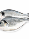 sea Bream - Image 3